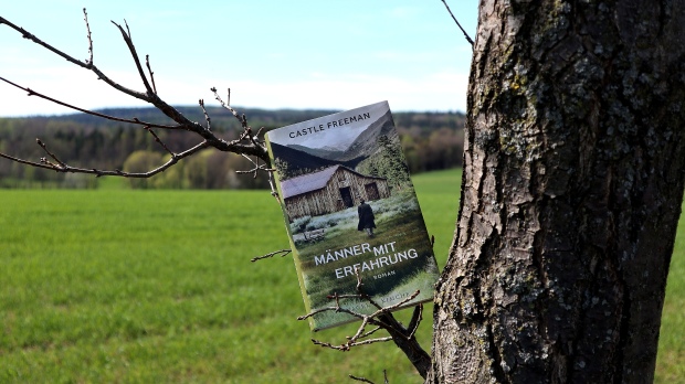Castle Freemans Roman "Männer mit Erfahrung" in einem Baum hängend vor einer weiten, bergigen Landschaft